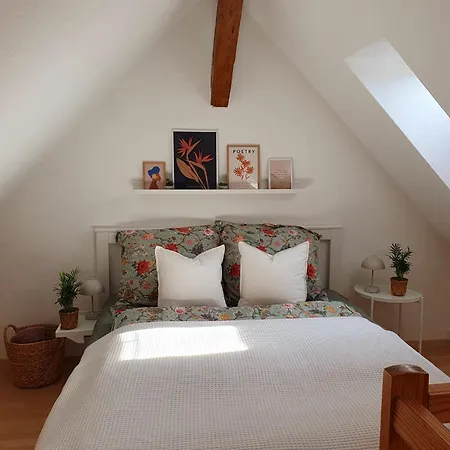 Charmante Maisonnette-dachgeschosswohnung In Zentraler Lage Apartment